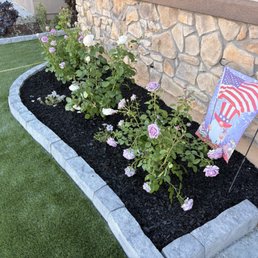 Flower bed with brick and newly planted Roses Flower bed with brick and newly planted Roses