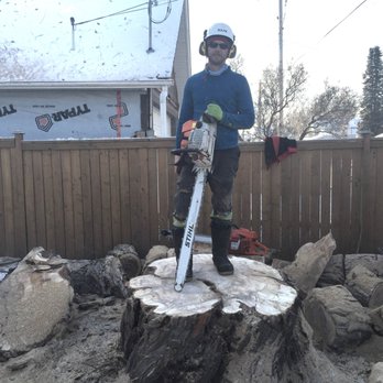 Arbor Man Tree Care - Tree Services Near Me - Edmonton, Alberta