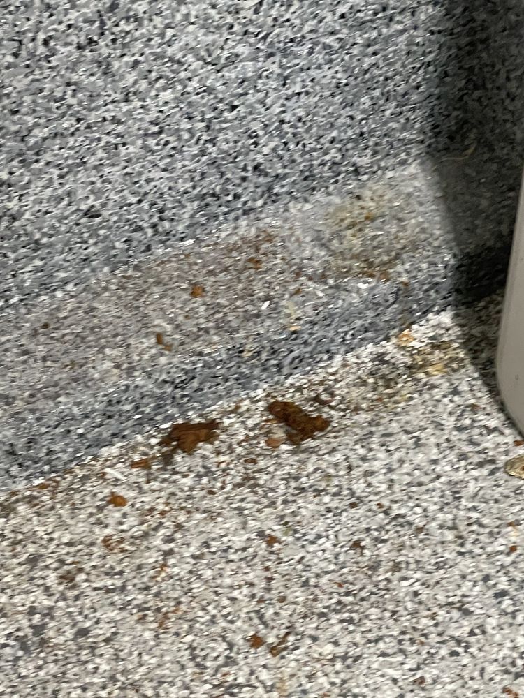 Slide of Roto Rooter