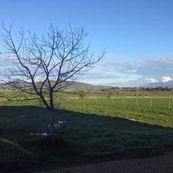 Shene Estate