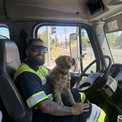 Mohica Towing - Dogs