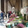 Photo of Mercato delle Piante