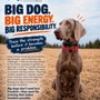 Off Leash K9 Training