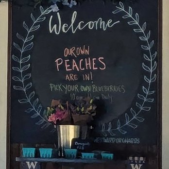 Westward Orchards - Peach season! - A chalkboard sign welcomes visitors and advertises peach picking and blueberry availability at a farm. - Fruits & Veggies Near Me - Harvard, Massachusetts