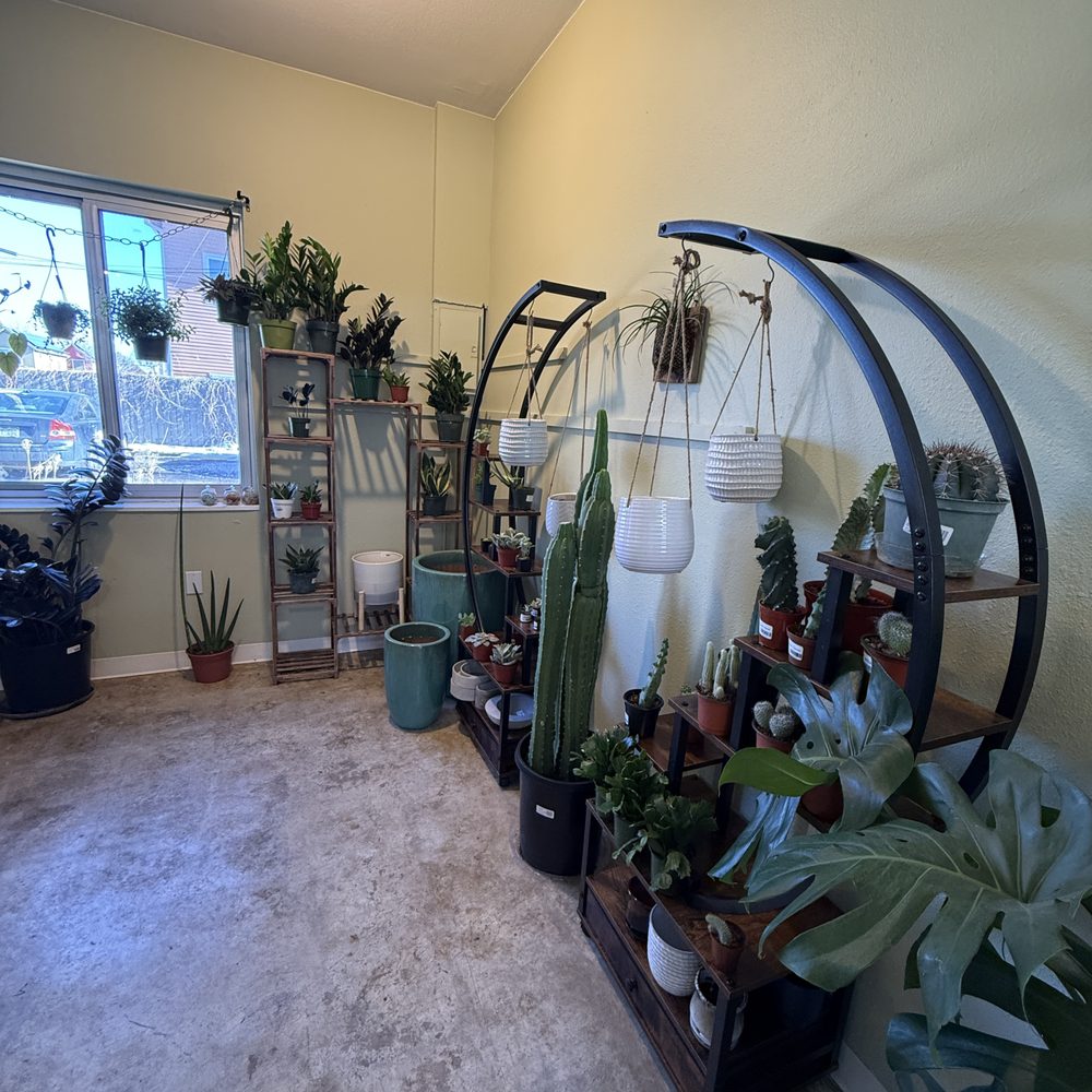 Moss Houseplants - Nurseries & Gardening Near Me - Boulder, Colorado