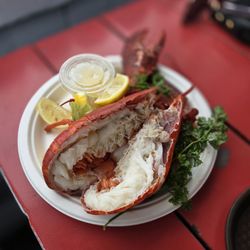 Malibu Seafood Fresh Fish Market & Patio Cafe - Steamed Eastern Lobster