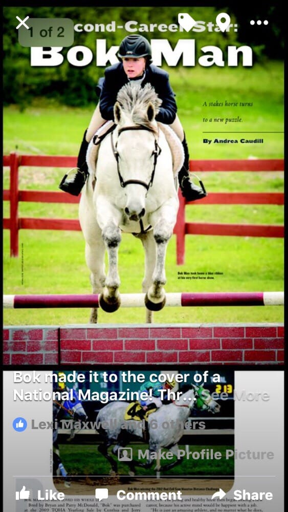 Bel Canto Farms - equestrian in Wimberley, TX