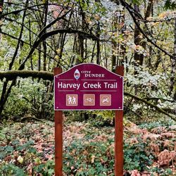 Harvey Creek Trail - Trailhead entrance at bottom of the hill. NE Red Hills Road.