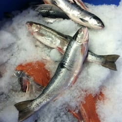 Freshly caught by the locals