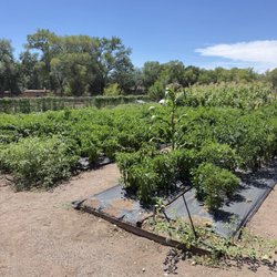 Old Town Farm - Gardens