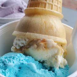 Scooped Ice Cream & Gelato - My treat ..cookie monster and salted caramel