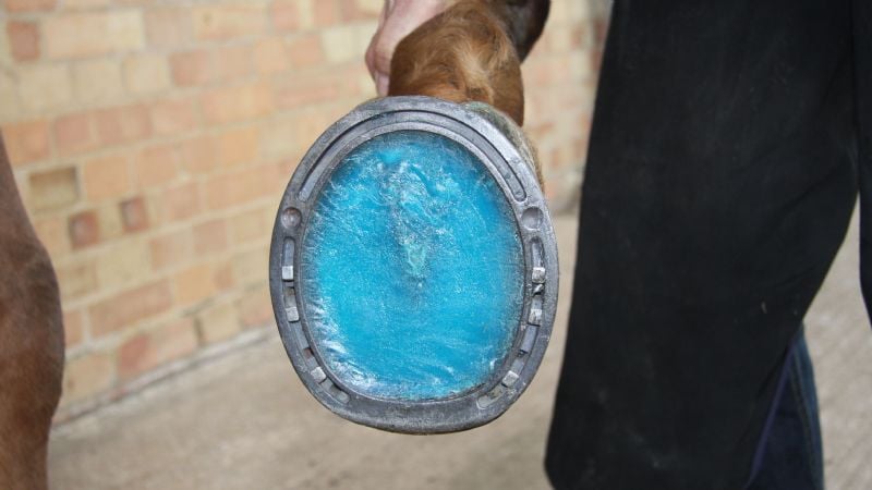 Aaron's Natural Balance - equestrian in Gladstone, MO