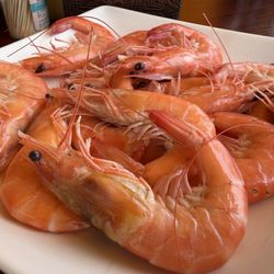 漁村酒家 - Shrimp