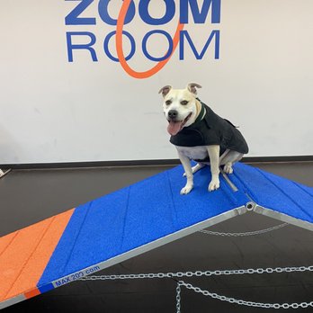 Zoom Room Dog Training - Pet Training Near Me - Long Beach, California Zoom Room Dog Training - Pet Training Near Me - Long Beach, California