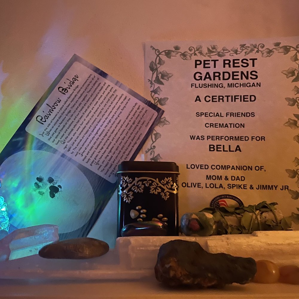Key-Lore Pet Rest Gardens - "My special friend" individual cremation Rainbow bridge poem with perfect print, small tin with for cremation, and certificate. - Pet Training Near Me - Flushing, Michigan Key-Lore Pet Rest Gardens - "My special friend" individual cremation Rainbow bridge poem with perfect print, small tin with for cremation, and certificate. - Pet Training Near Me - Flushing, Michigan