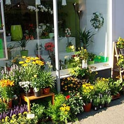 Blumen Stuppi