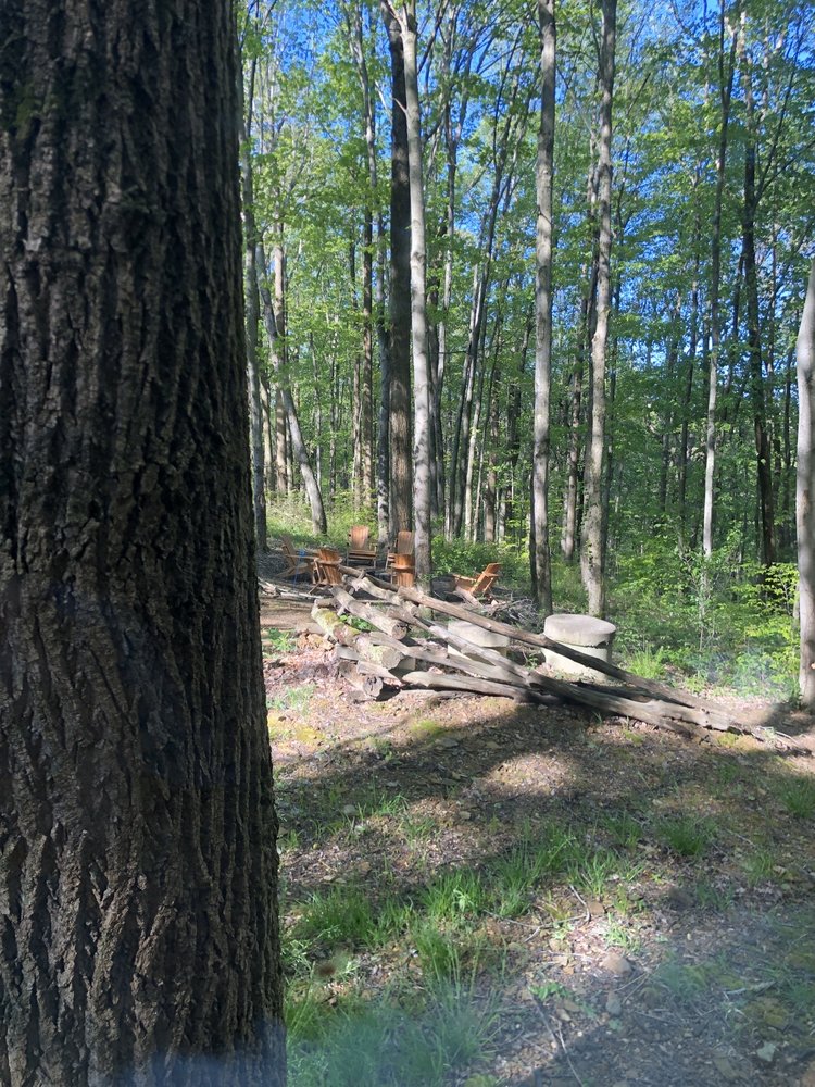 SCOTTISH RIDGE CABINS HOCKING HILLS Updated April 2024 11 Photos 23875 Pole Ridge Rd