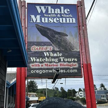 Whale Research Eco Excursions - Museums Near Me - Depoe Bay, Oregon Whale Research Eco Excursions - Museums Near Me - Depoe Bay, Oregon