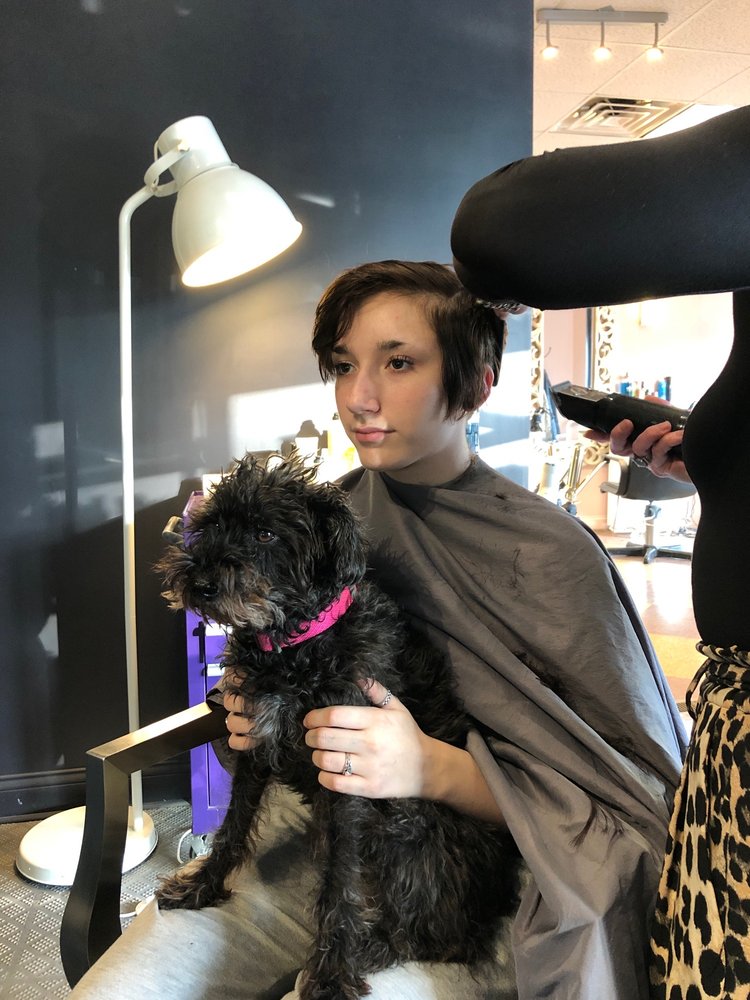 MELLIE HAIR SALON 13 Photos & 41 Reviews 376 Granite Ave, Milton