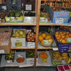 Natürlich Bio - Obst und Gemüse