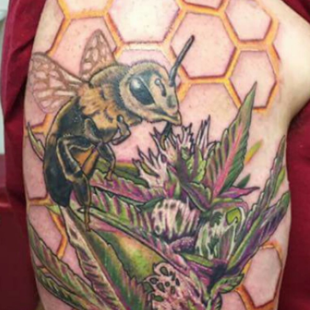 Phase 1 of sleeve Phase 1 of sleeve