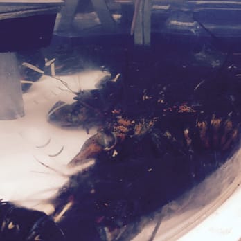 Sabry's - Tank full of live lobsters!!  take your pick - Seafood Near Me - Astoria, New York