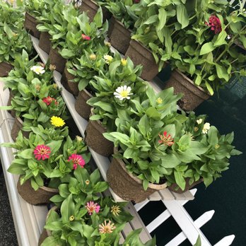 Kent Lakes Farm Market - Flowers - Farmers Market Near Me - Carmel, New York