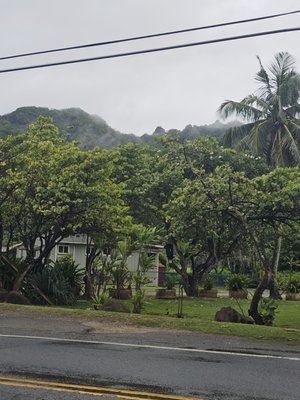 Punaluʻu Beach by null
