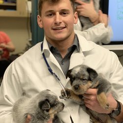 The Pet Clinic of Bradenton