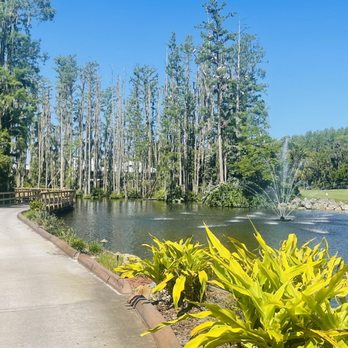Saddlebrook Resort - Resorts Near Me - Wesley Chapel, Florida