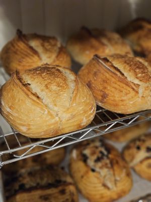 SEVEN4 TWO BAKERY - Updated June 2026 - Urban Honolulu, Hawaii