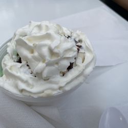 Scoop of mint chocolate chip and butter pecan, topped with chocolate sauce and whipped cream.