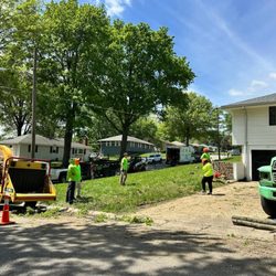 Tree Time Tree Service