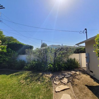Pearloga Tree service - After. This is exactly what i wanted - Tree Services Near Me Pearloga Tree service - After. This is exactly what i wanted - Tree Services Near Me