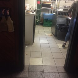 The Cellar
