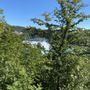 Photo of Adventure Park Rheinfall