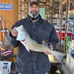 Texoma Striper Snipers - Biggest catch of the day.