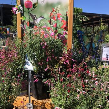 Sloat Garden Center - Nurseries & Gardening Near Me - Pleasant Hill, California Sloat Garden Center - Nurseries & Gardening Near Me - Pleasant Hill, California