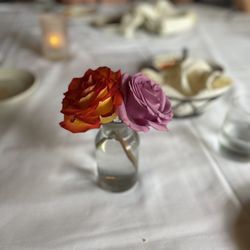 Luciano's Ristorante Italiano - Beautiful live roses in the center of the table.