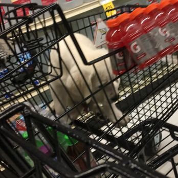 Safeway - Grocery Near Me - Healdsburg, California