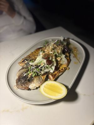 Lyla Toronto by null