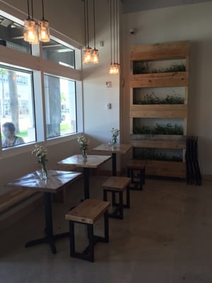 Lulu's Nitrogen Ice Cream by null