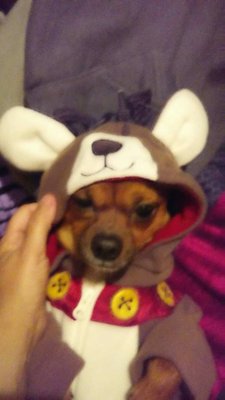 Roark Small Animal Clinic 1205 N Wilcox Dr Kingsport Tn Veterinarians Mapquest