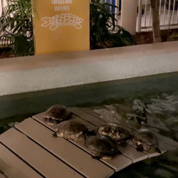 Hyatt Centric Key West Resort & Spa - Hotels Near Me - Key West, Florida