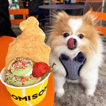 Somisomi - Ah-Boong: Matcha+Milk Soft Serve Swirl w/ vanilla custard fish cone, sprinkles, strawberry | Cup - $5.95 (dog-friendly seating outside) - Desserts Near Me - Cupertino, California Somisomi - Ah-Boong: Matcha+Milk Soft Serve Swirl w/ vanilla custard fish cone, sprinkles, strawberry | Cup - $5.95 (dog-friendly seating outside) - Desserts Near Me - Cupertino, California