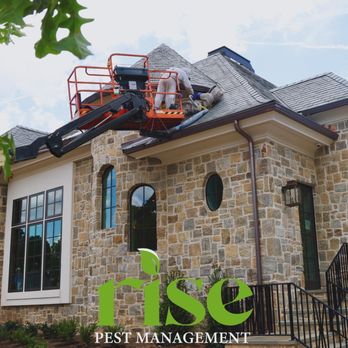 Rise Pest Management - Pest Control Near Me Rise Pest Management - Pest Control Near Me
