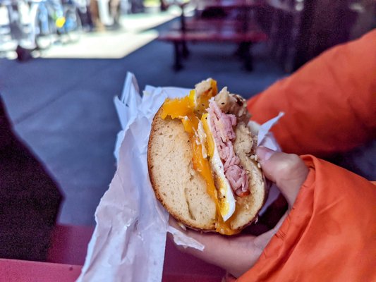 Schlok's Bagels & Lox by null