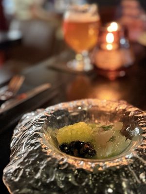 Stubborn Seed - Miami Beach by null