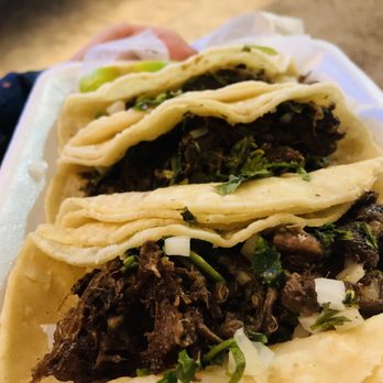 Taqueria Flores - 3 barbacoa tacos - Mexican Near Me - Galveston, Texas