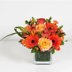 Flowers by Zsuzsana - Tangerine Twist